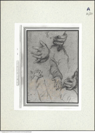 Vorderseite von bh438530_recto