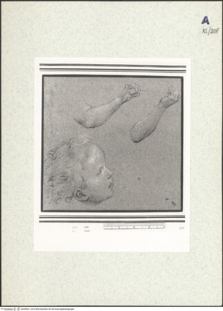 Vorderseite von bh438531_recto