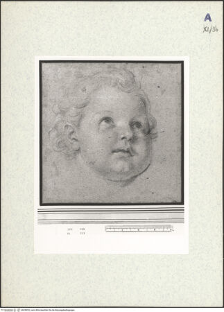 Vorderseite von bh438532_recto