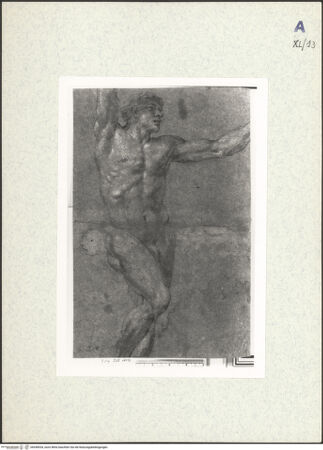 Vorderseite von bh438534_recto