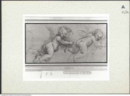 Vorderseite von bh438538_recto