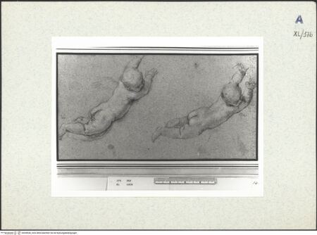 Vorderseite von bh438540_recto