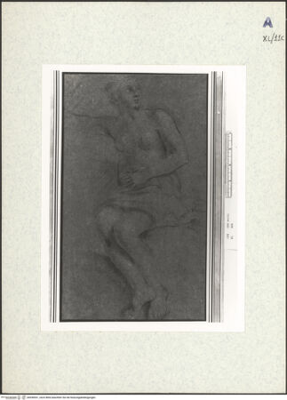 Vorderseite von bh438541_recto