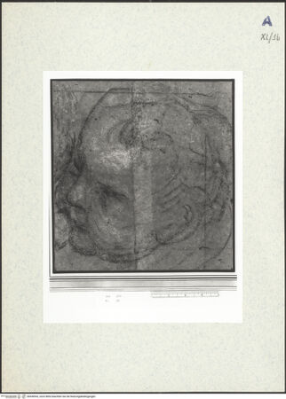 Vorderseite von bh438543_recto