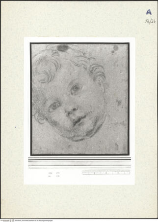 Vorderseite von bh438545_recto