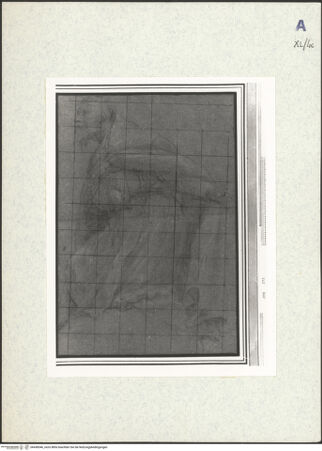 Vorderseite von bh438546_recto