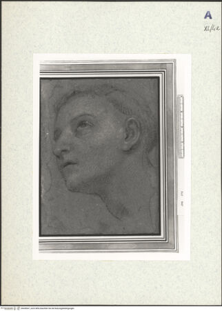 Vorderseite von bh438547_recto