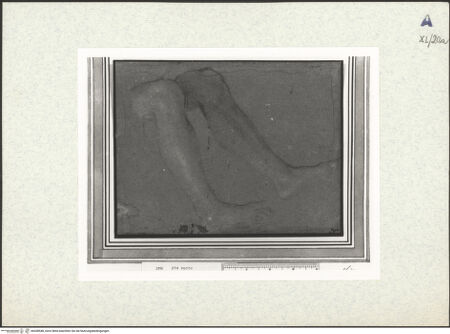 Vorderseite von bh438548_recto