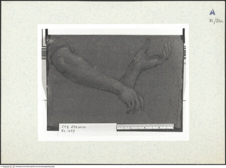 Vorderseite von bh438549_recto