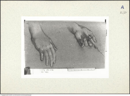 Vorderseite von bh438551_recto