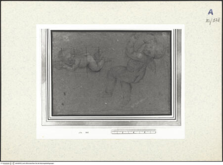 Vorderseite von bh438553_recto