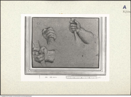 Vorderseite von bh438557_recto