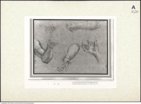 Vorderseite von bh438559_recto