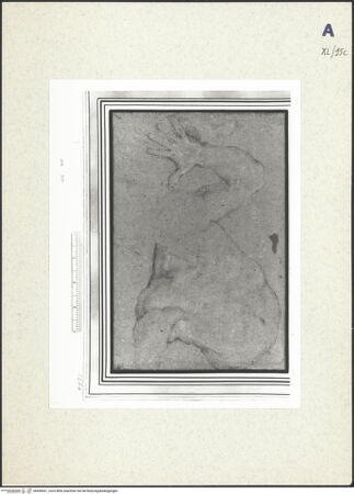 Vorderseite von bh438561_recto