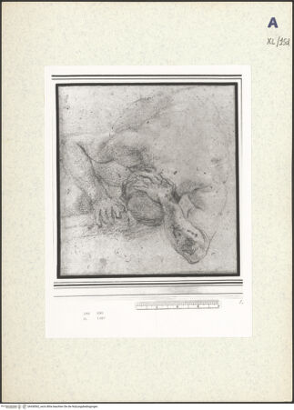 Vorderseite von bh438562_recto