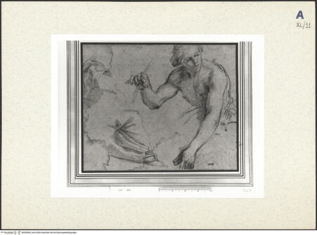 Vorderseite von bh438564_recto