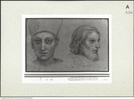 Vorderseite von bh438565_recto