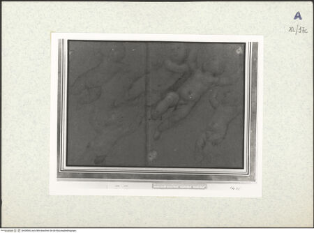 Vorderseite von bh438566_recto