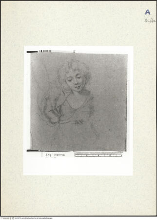 Vorderseite von bh438573_recto