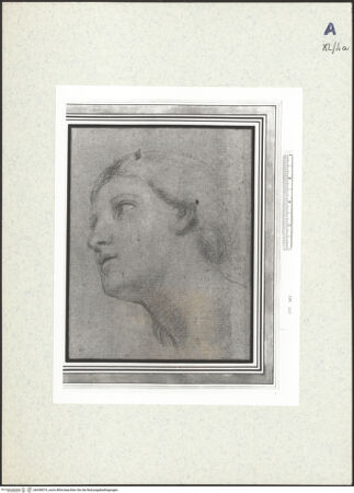 Vorderseite von bh438574_recto