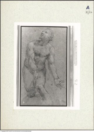 Vorderseite von bh438575_recto