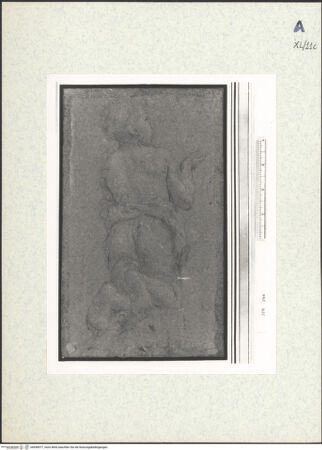 Vorderseite von bh438577_recto