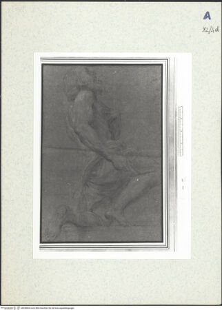 Vorderseite von bh438584_recto