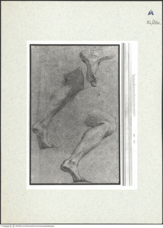 Vorderseite von bh438585_recto