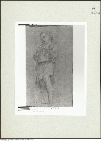 Vorderseite von bh438588_recto