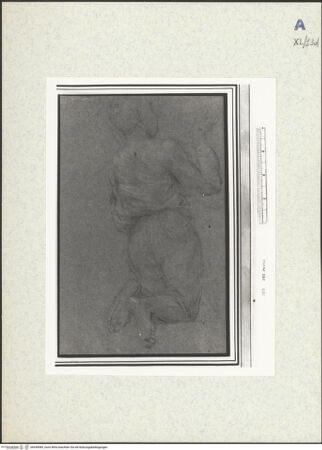 Vorderseite von bh438589_recto