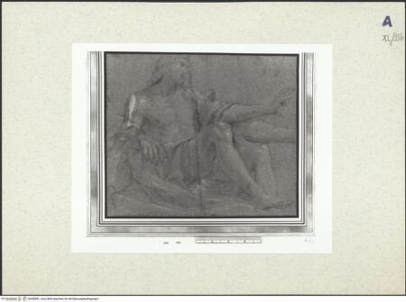 Vorderseite von bh438591_recto