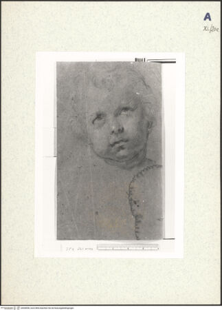 Vorderseite von bh438596_recto