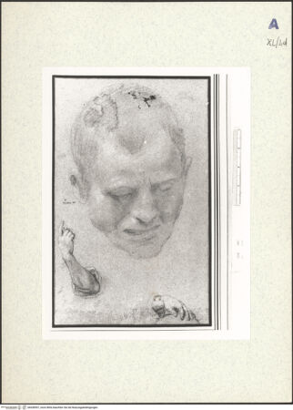 Vorderseite von bh438597_recto