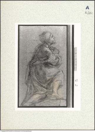 Vorderseite von bh438599_recto