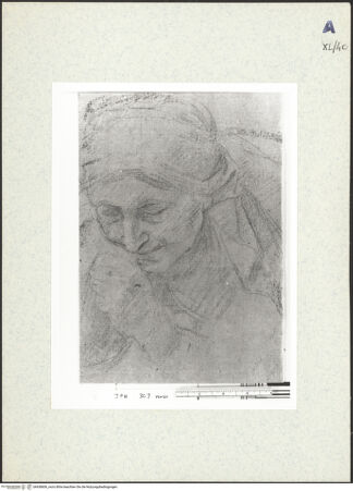 Vorderseite von bh438606_recto