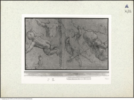 Vorderseite von bh438607_recto