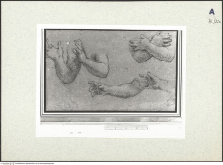 Vorderseite von bh438613_recto