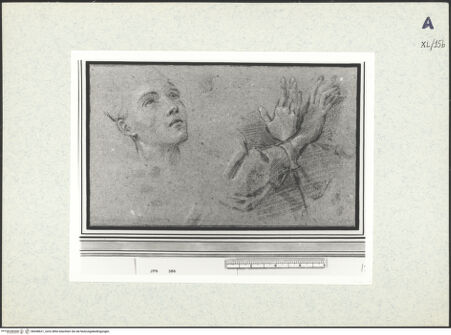 Vorderseite von bh438621_recto