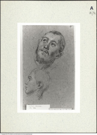 Vorderseite von bh438624_recto