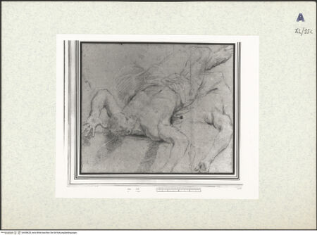 Vorderseite von bh438628_recto