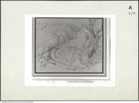 Vorderseite von bh438635_recto