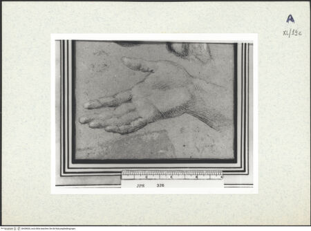 Vorderseite von bh438636_recto