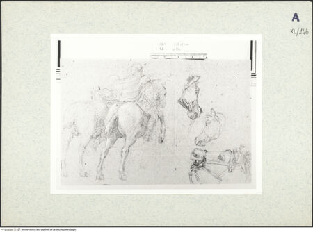 Vorderseite von bh438644_recto