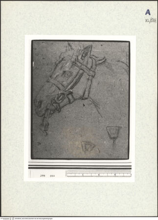 Vorderseite von bh438645_recto