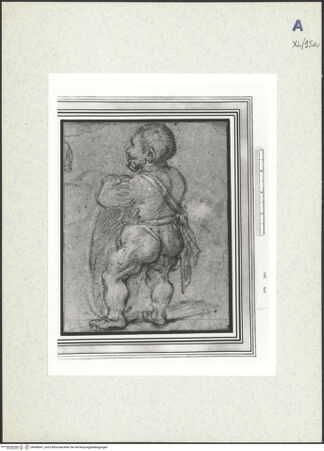 Vorderseite von bh438647_recto