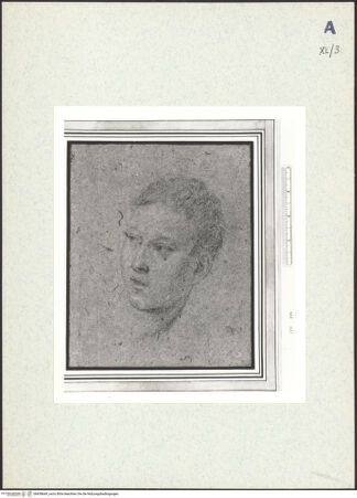 Vorderseite von bh438649_recto