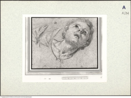 Vorderseite von bh438650_recto