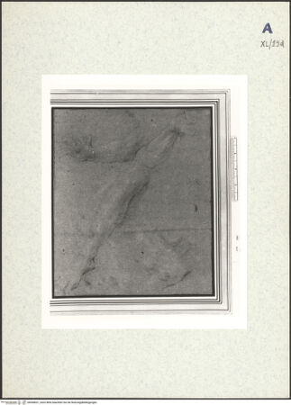 Vorderseite von bh438651_recto