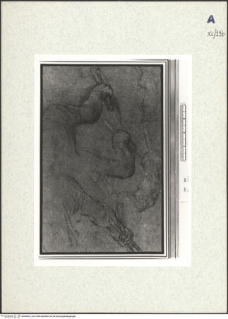 Vorderseite von bh438652_recto