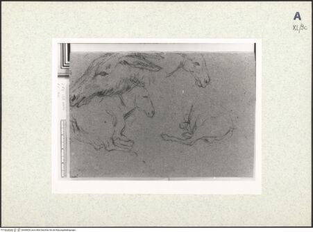 Vorderseite von bh438654_recto